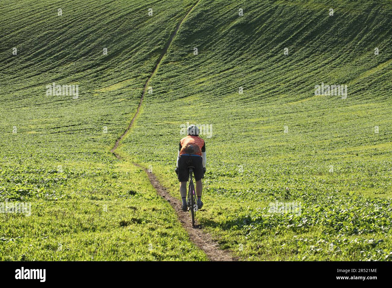 Ein Radfahrer steigt einen steilen Hügel hinab in ein Tal im South Downs National Park nördlich von Rottingdean. (Der Weg geht nach unten und dann wieder nach oben!) Stockfoto