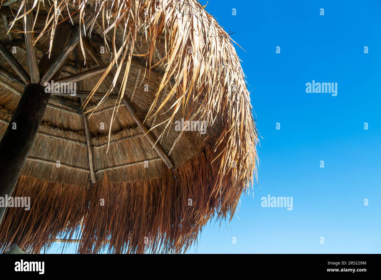 Strohgedeckte Palapa-Überdachungsgebäude mit blauem Himmel, Küste des Golfs von Mexiko, Celestun, Yucatan, Mexiko Stockfoto