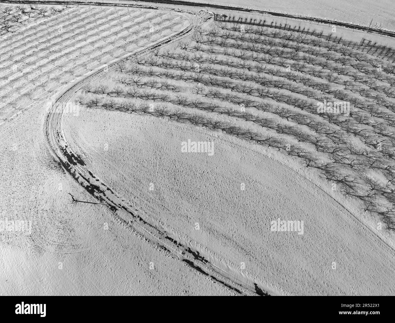 Aerial Agricultural Pattern – Luftaufnahme einer Farm in New Jersey nach einem Schneefall im Winter. Stockfoto