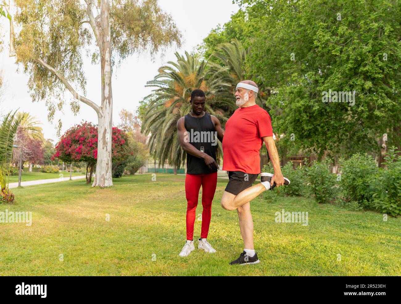 Ganzkörper-Senior-Sportler in Sportbekleidung streckt sich vor dem Training die Beine, während er mit einem afroamerikanischen Lehrer im Park auf dem Rasen trainiert Stockfoto