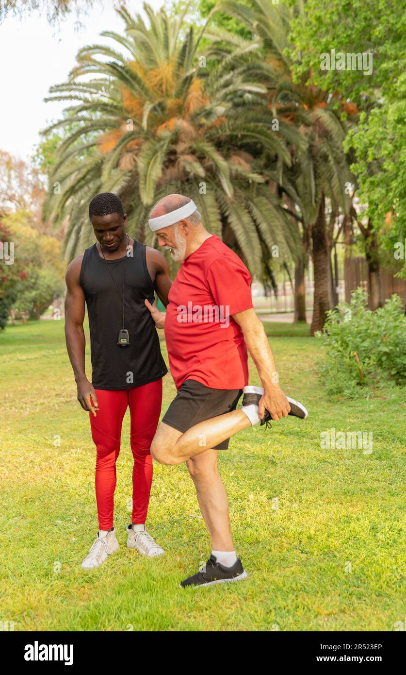 Positiver Seniorathlet in Sportbekleidung, der sich vor dem Training Beine streckt, während er mit einem afroamerikanischen Lehrer im Park auf einem grasbedeckten Rasen trainiert Stockfoto
