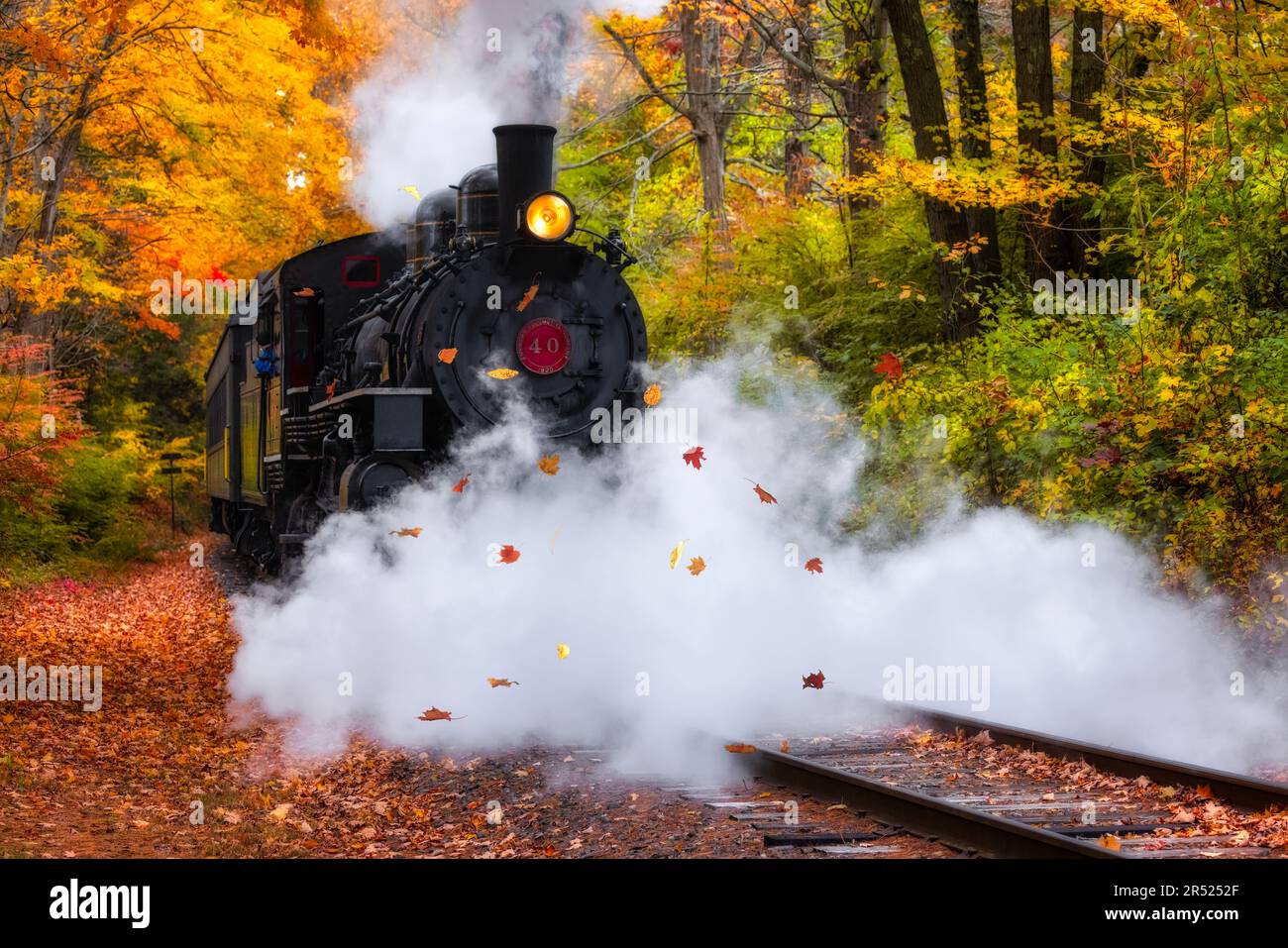 Lokomotive Nr. 40 Dampfeisenbahn - Blick auf die fahrende Dampfeisenbahn, umgeben von den warmen Herbstfarben in New England. Nein. 40 ist unter 200 Stockfoto