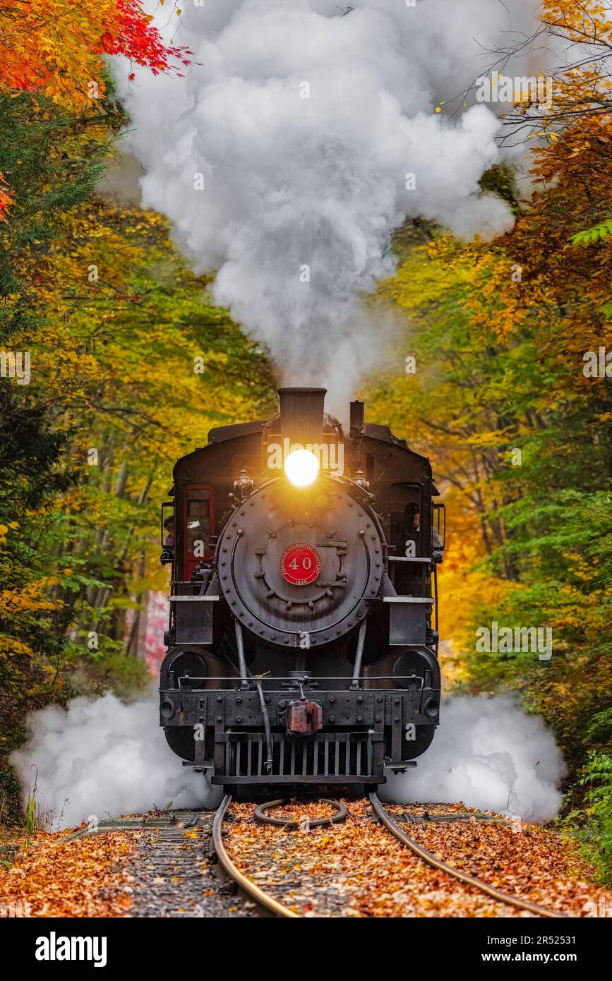 Dampflokomotive Nr. 40 - Blick auf die fahrende Dampfeisenbahn, umgeben von den warmen Herbstfarben in New England. Nein. 40 ist unter 200 Stockfoto