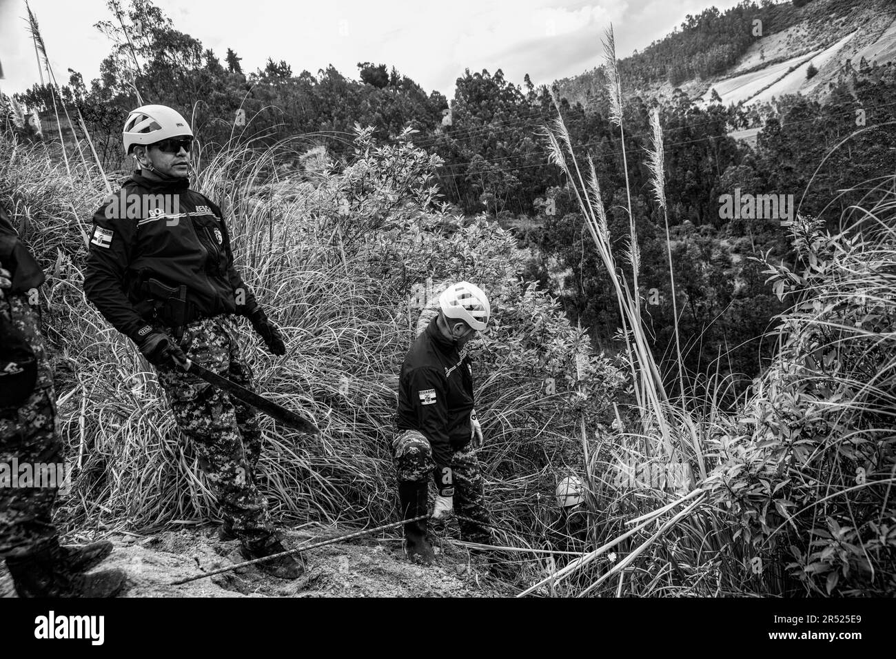 Legale und illegale Einwanderung aus Kolumbien und Venezuela nach Ecuador, Südamerika Stockfoto