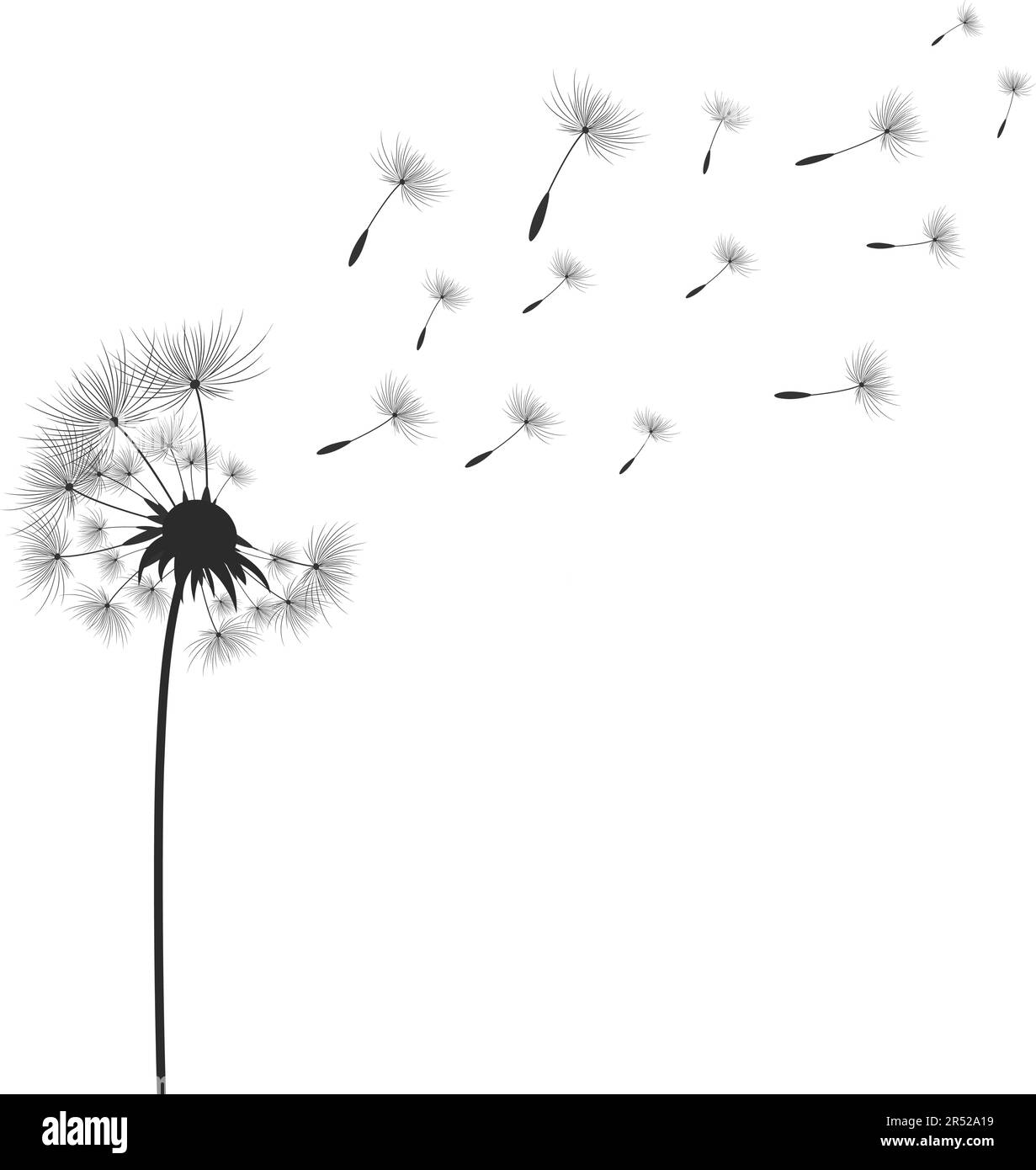 Löwenzahnblumen mit Samen, die im Wind wegfliegen. Stock Vektor