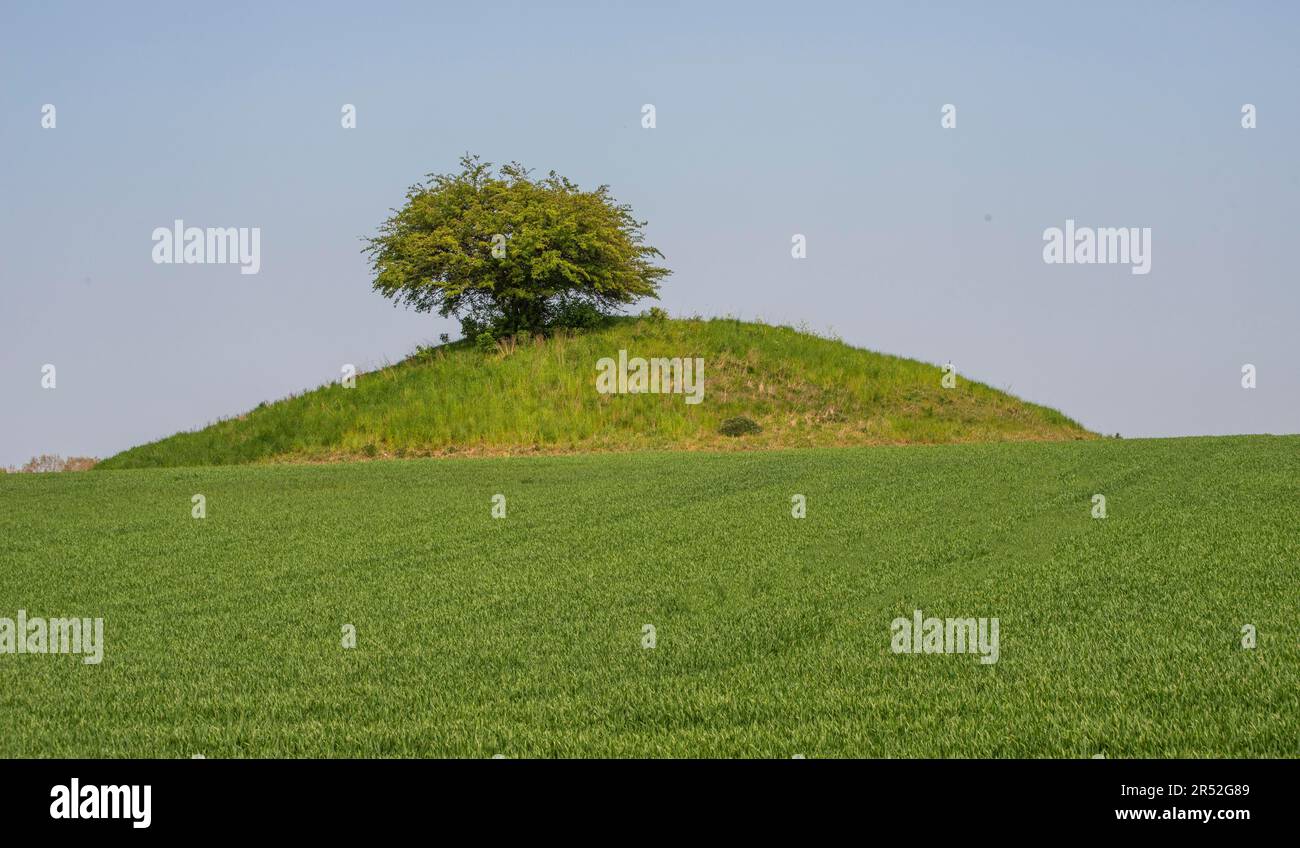 Bolshoeg, King Boel's High, Grabhügel aus der Bronzezeit in der Gemeinde Simrishamn, Scania, Schweden, Skandinavien Stockfoto