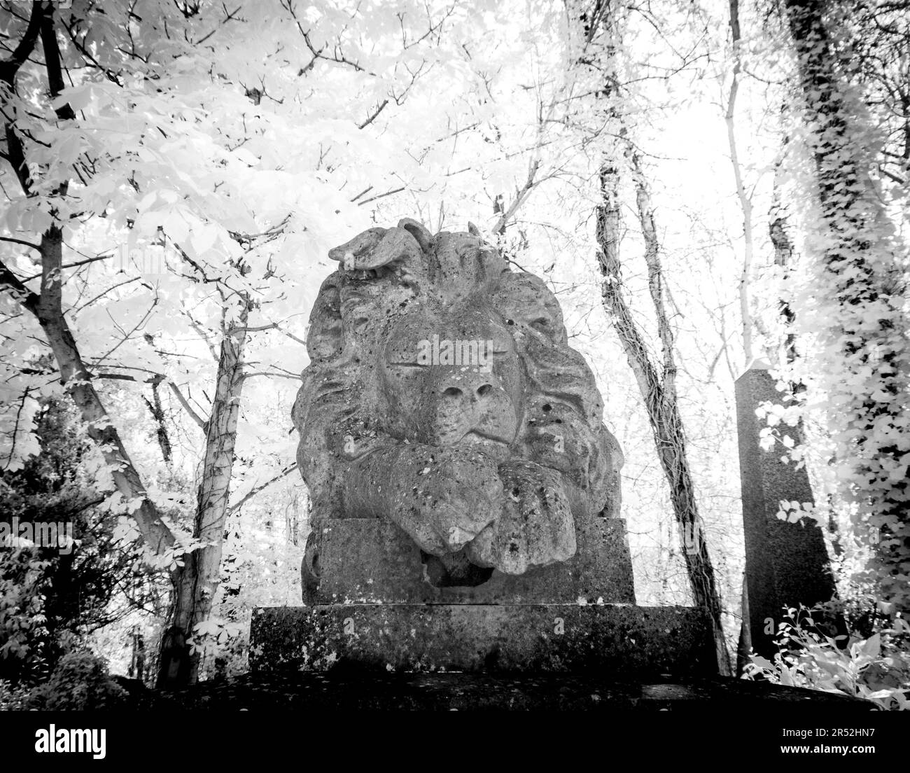 Grab von George Wombwell mit Statue seines Löwen Nero, Highgate Cemetery West, London Stockfoto