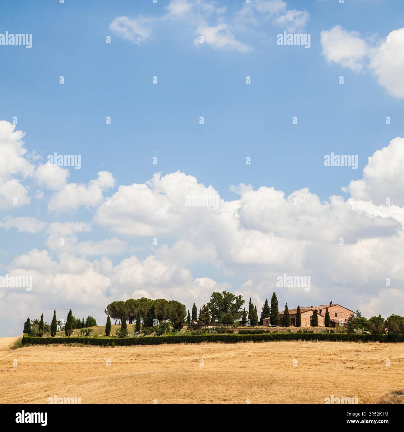Sommer in der Toskana, in der Nähe von Siena Stockfoto
