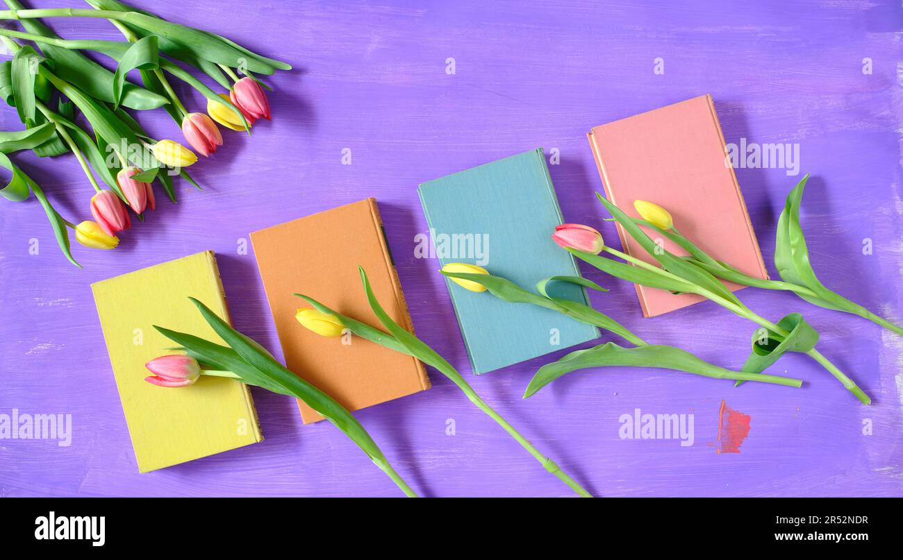 Wunderschöne Frühlingsblumen, eine Reihe rosafarbener Tulpenblumen mit Büchern auf lila Hintergrund, Konzept, flach liegend, Negativbereich, kostenloser Platz für Kopien Stockfoto