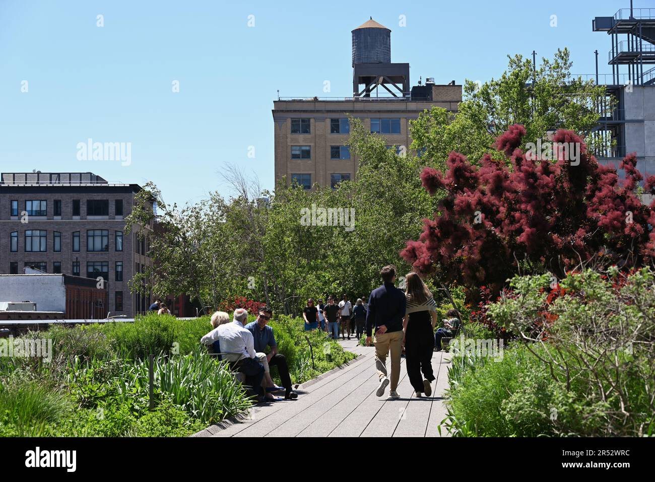 Der High Line Park folgt einer alten erhöhten Bahnlinie und bietet einen grünen Weg, während er sich durch die Westseite von New York City schlängelt. Stockfoto
