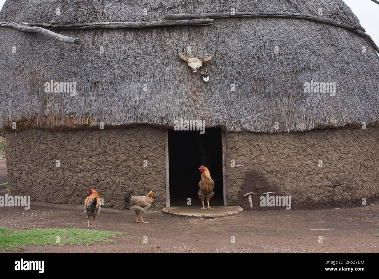 Round Zulu House, Zulu Village, Hidden Valley, KwaZulu-Natal, Südafrika Stockfoto