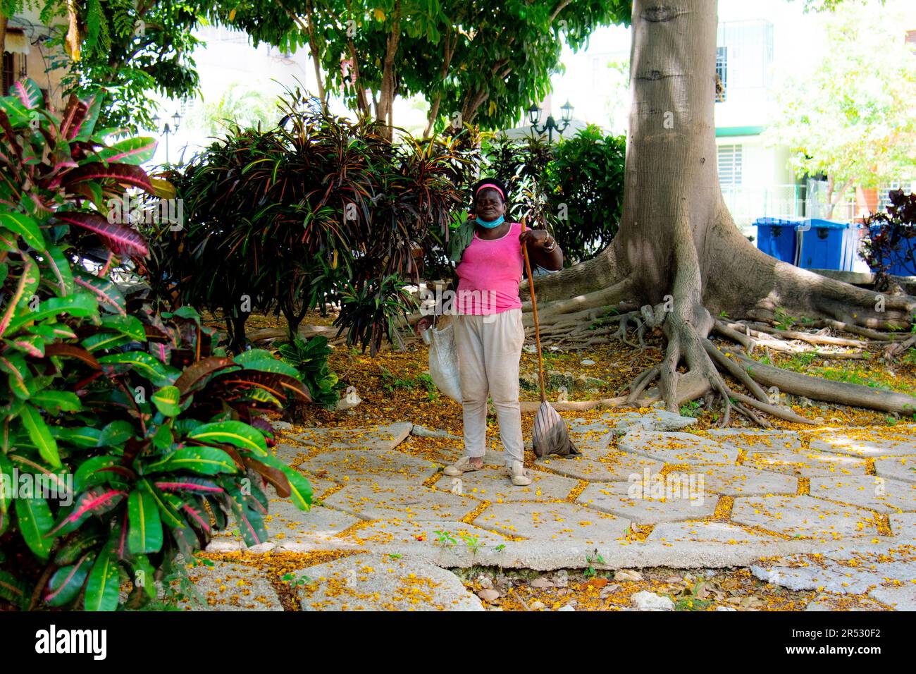 Eine kubanische Frau hält einen Kehrer im Park, während sie die Straße in Havanna, Kuba, aufräumt. Stockfoto