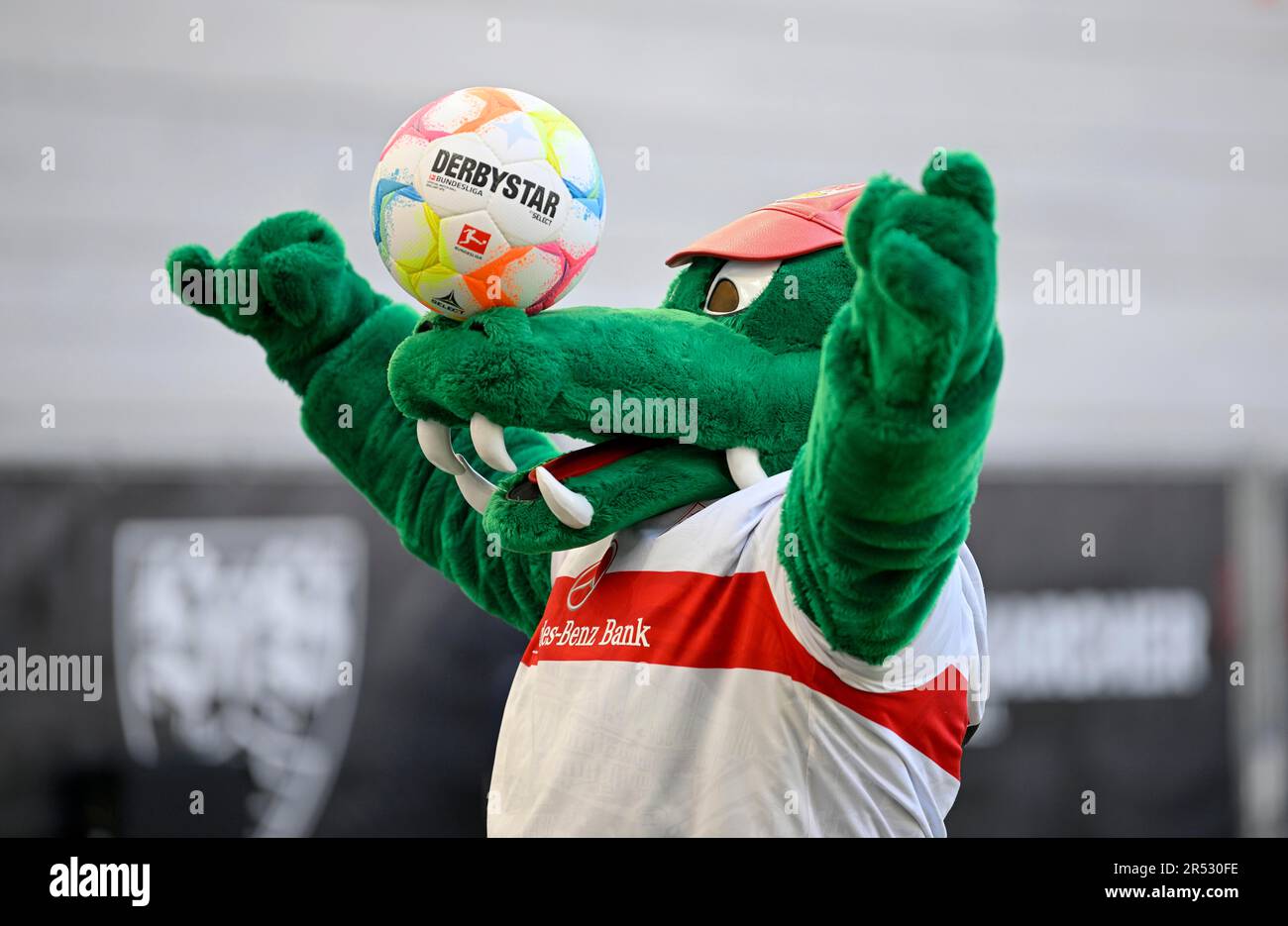 Mascot Fritzle Crocodile gleicht Adidas Derbystar Match Ball auf Snout, Mercedes-Benz Arena, Stuttgart, Baden-Württemberg, Deutschland Stockfoto