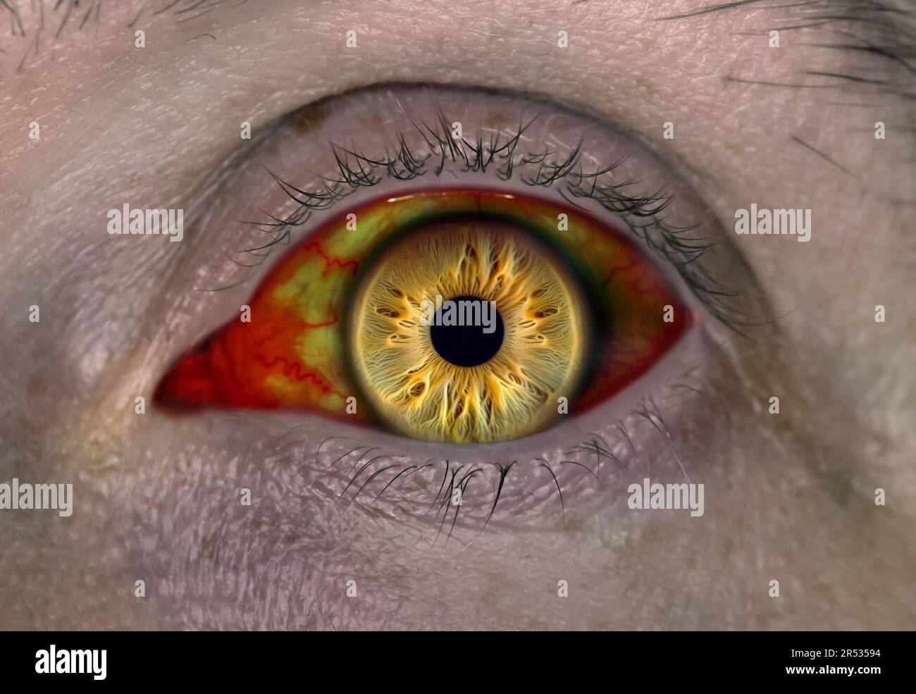 Großaugenvampir oder Zombie. Das Auge der lebenden Toten. Das Auge einer Person, die mit dem Zombie-Virus infiziert ist. Stockfoto