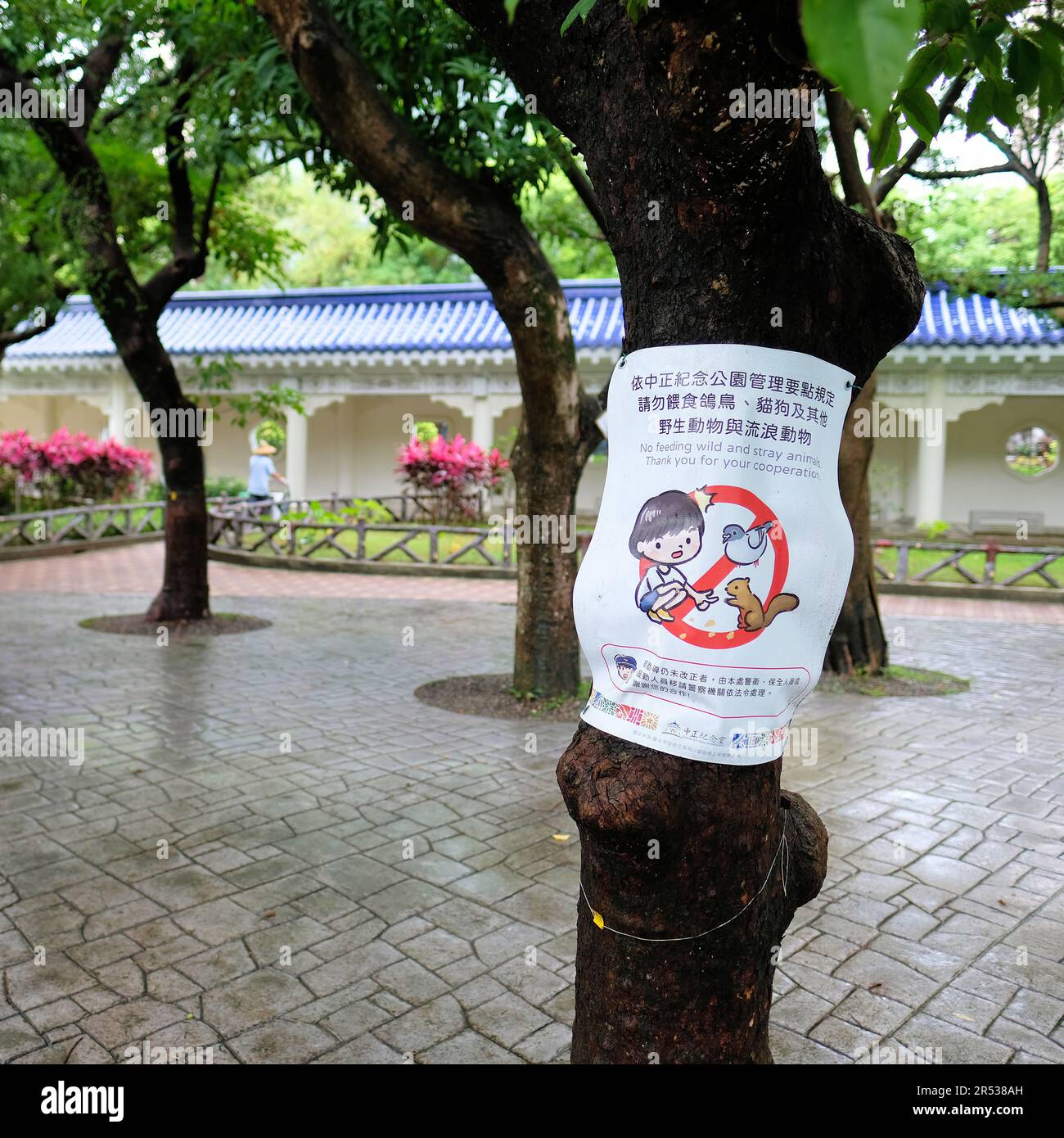 Schild „Keine Fütterung von Wild- und Streuntieren“ in der Chiang Kai-Shek Memorial Hall, Taipei, Taiwan; Parkregeln und -Vorschriften, die die Zusammenarbeit der Besucher verlangen. Stockfoto