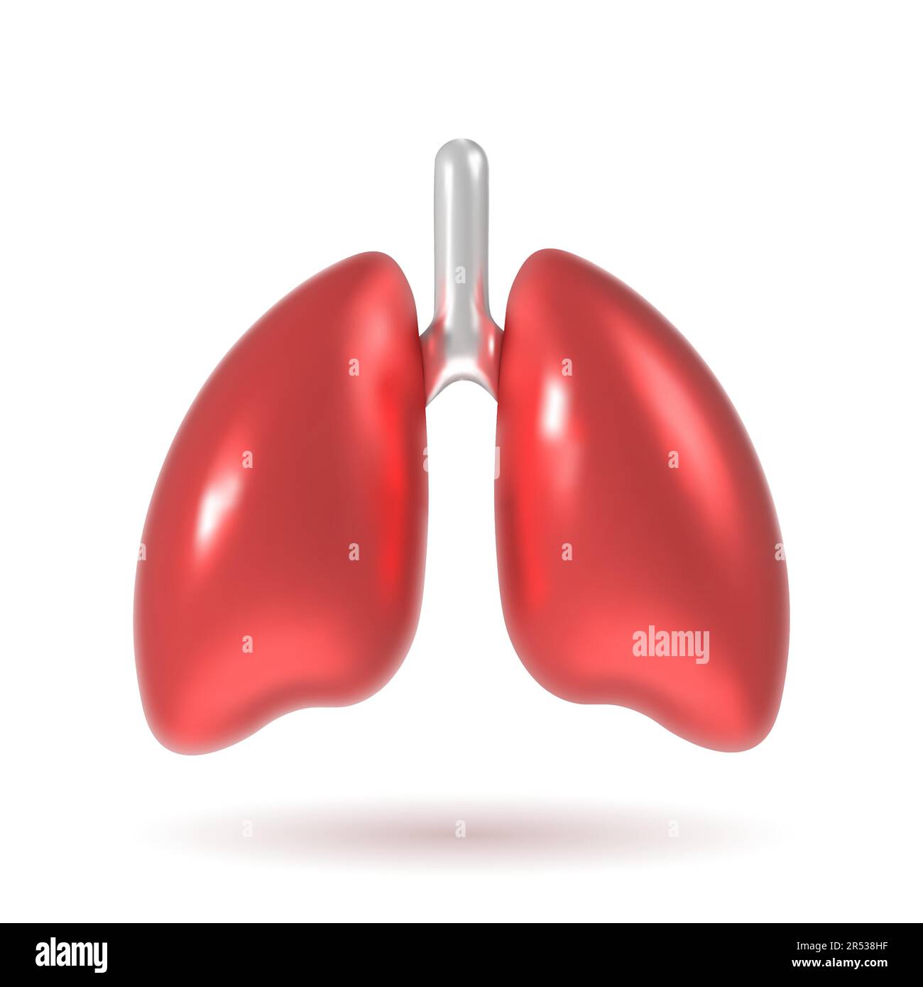 Menschliche Lungen 3D minimalistischer Hochglanzstil. Vorderansicht mit Luftröhre. Realistische Vektordarstellung auf weißem Hintergrund isoliert. Stock Vektor
