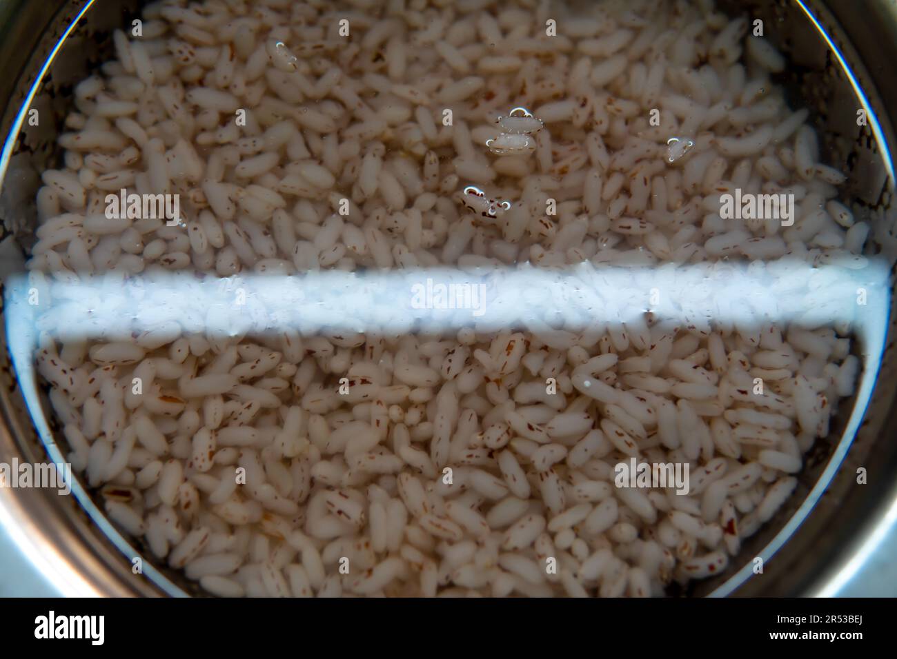 Biologischer roter Reis, ein gesundes Vollkorn, der in einer mit Wasser gefüllten Glasschüssel ruht und den natürlichen Prozess des Eintauchens für eine verbesserte Textur symbolisiert Stockfoto