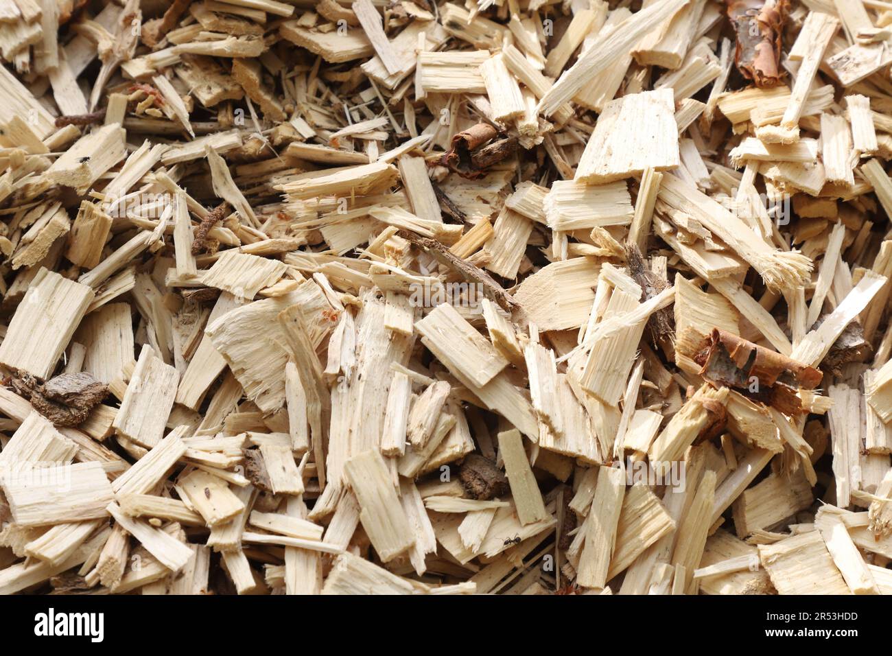 Vollbildansicht der Holzspäne. Stockfoto