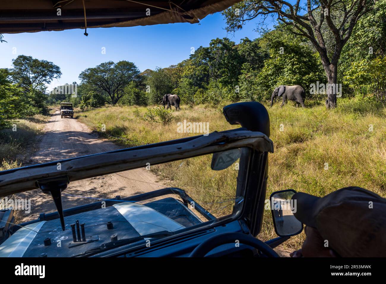 Begegnung mit Elefanten während der Safari im Liwonde-Nationalpark, Malawi Stockfoto