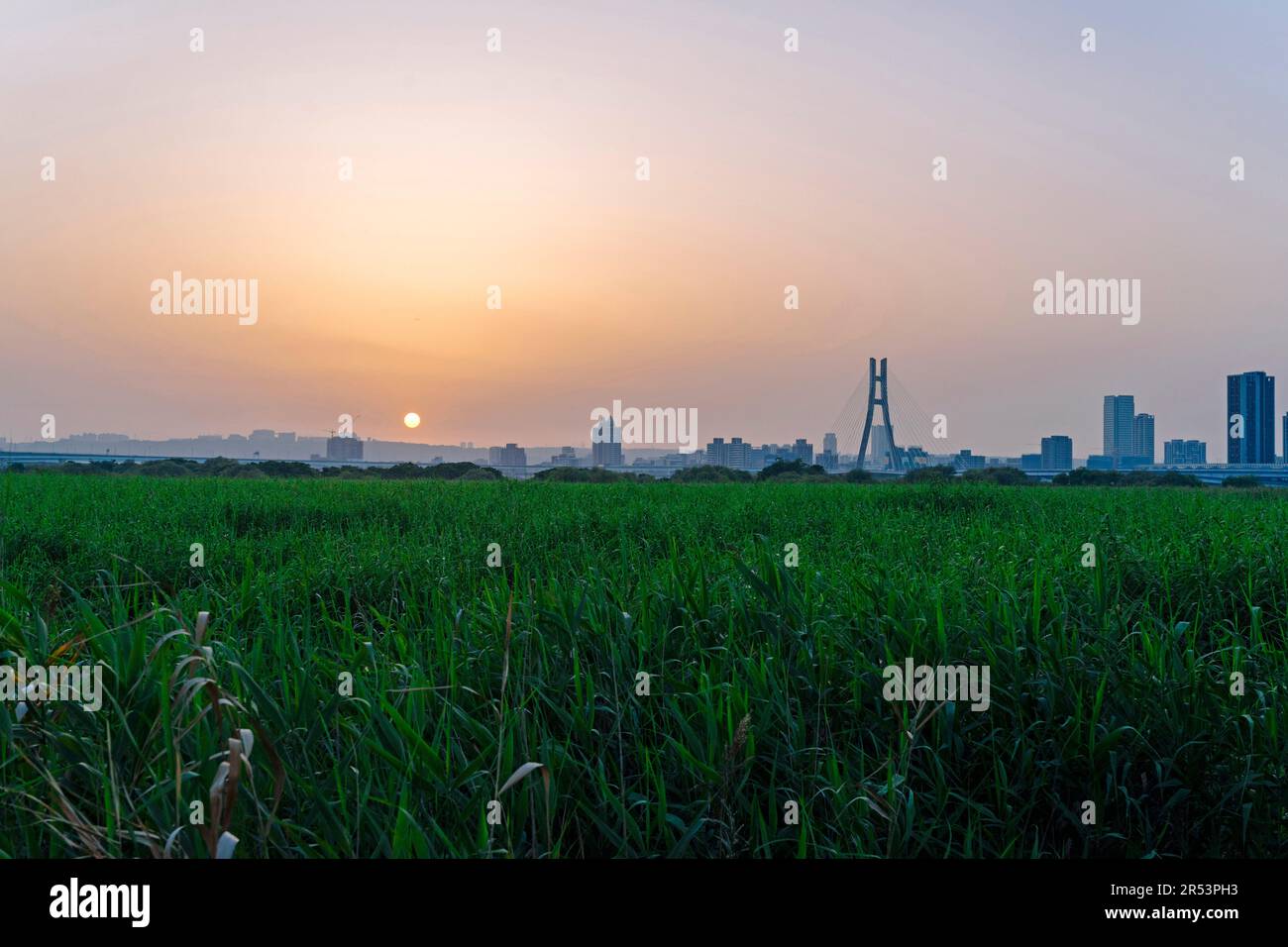 Sonnenuntergang im Longshan Riverside Park (Taipei/Taiwan) Stockfoto