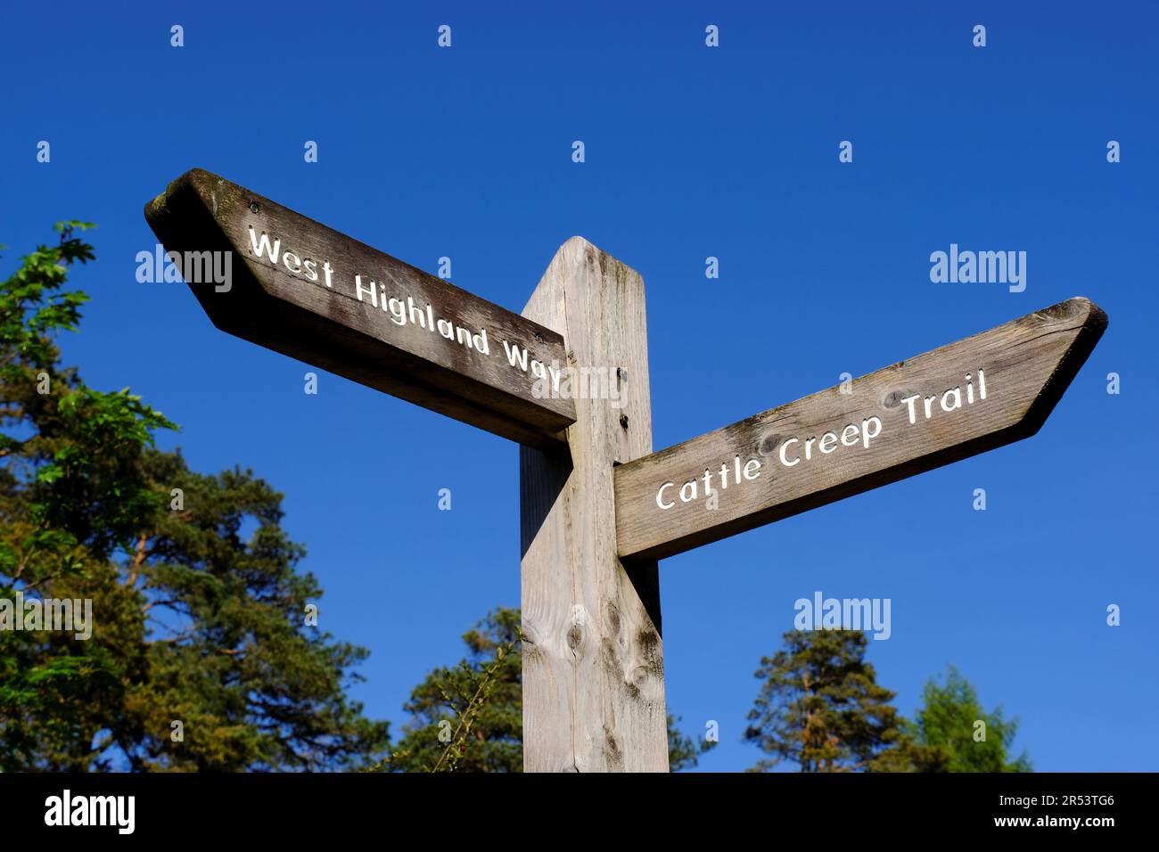 Fingerpost-Schild für den Cattle Creep Trail und den West Highland Way, Tyndrum, Schottland Stockfoto