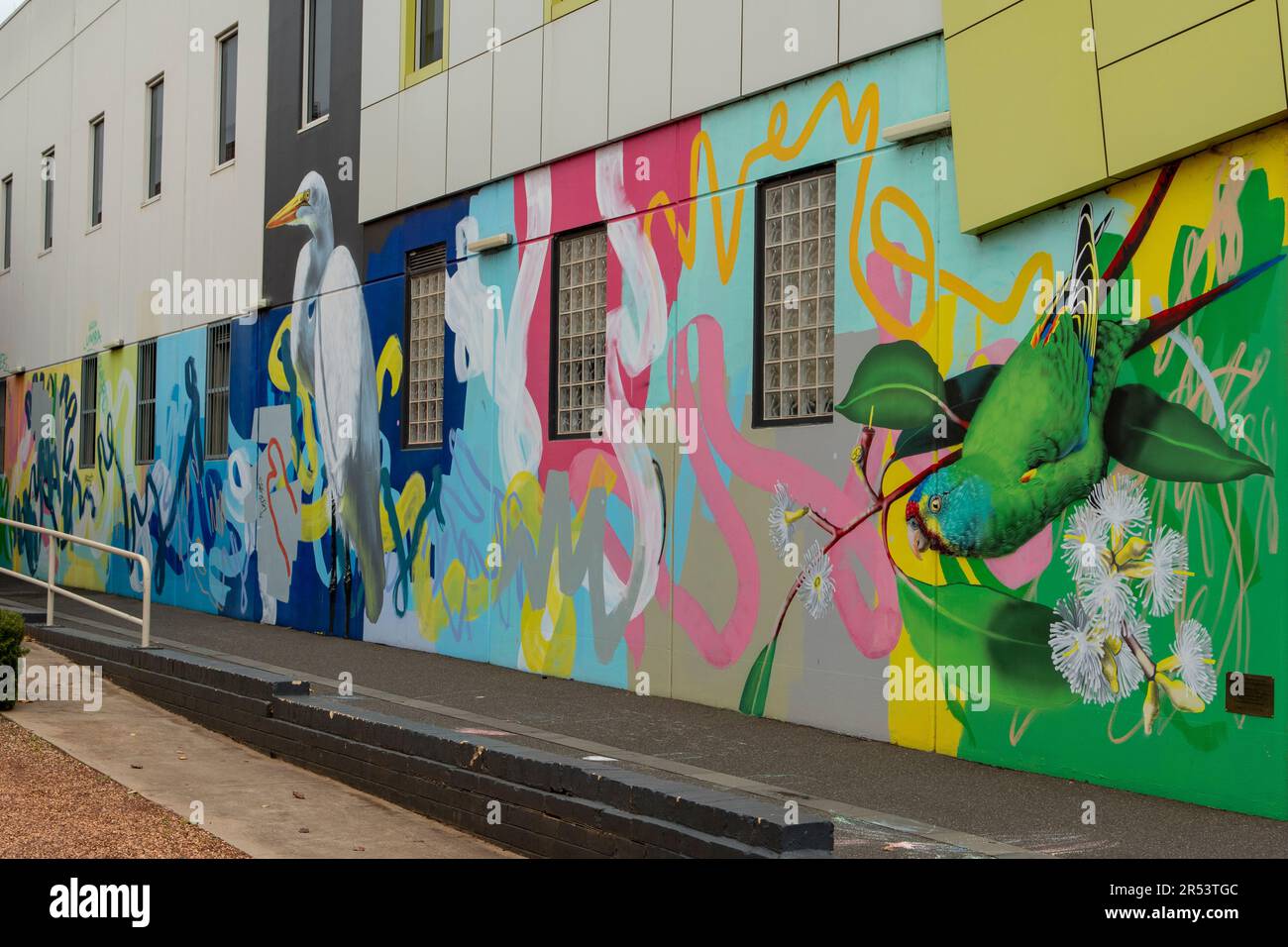 Geoffrey Cowan und Rowena Martinich Street Art, Digples Lane, Bendigo, Victoria, Australien Stockfoto