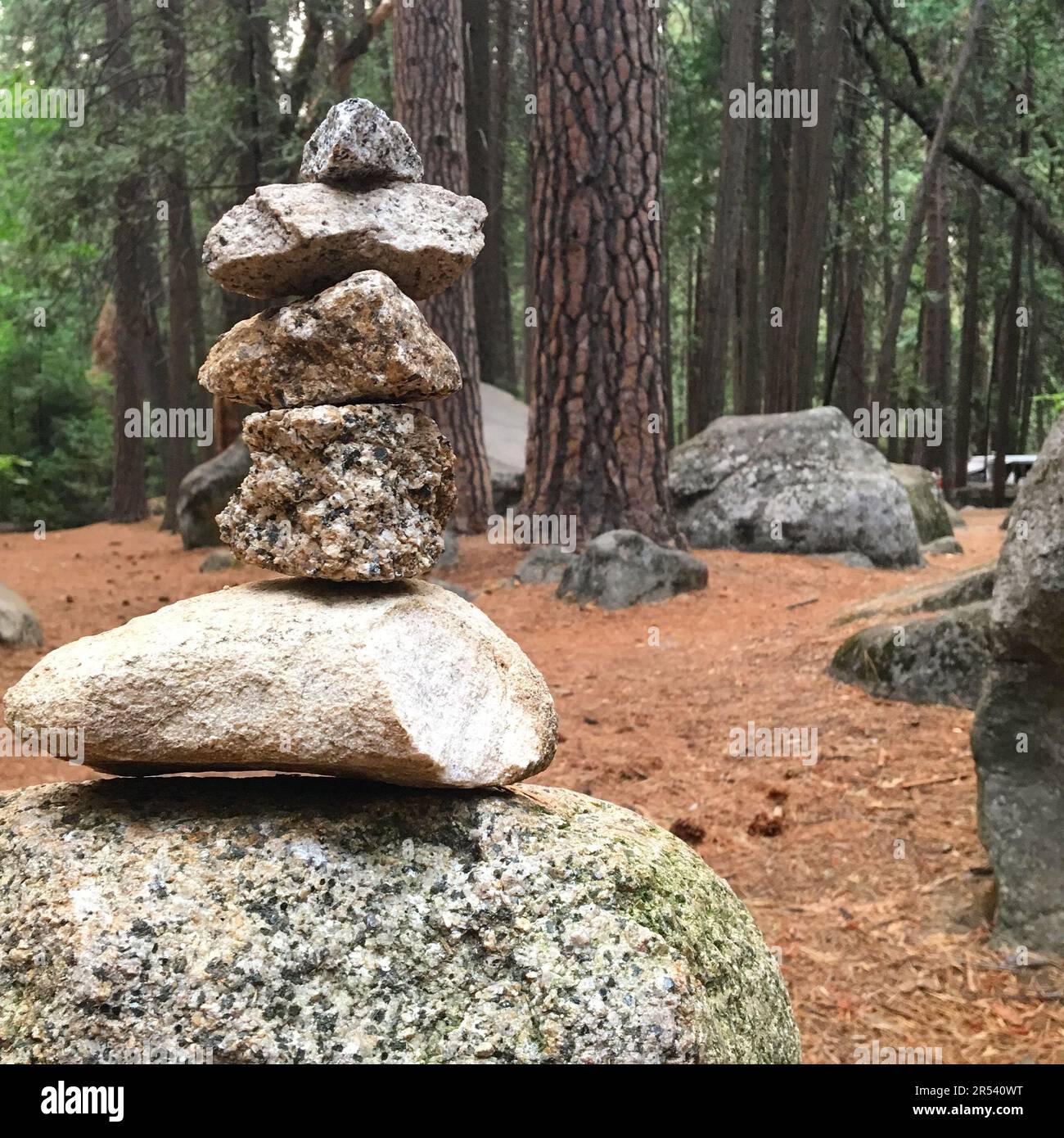 Ein hoher Haufen Zen Felsen steht hoch in einem Wald im Yosemite Nati0onal Park Stockfoto