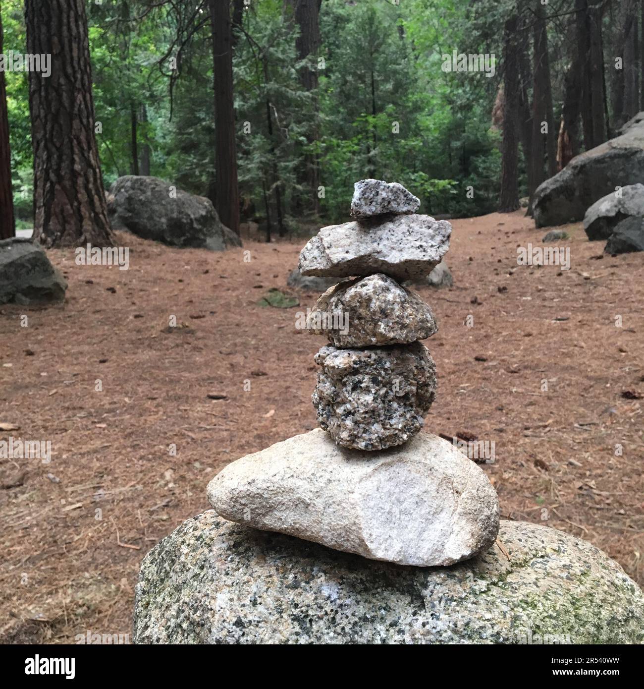 Auf einer Lichtung im Wald des Yosemite-Nationalparks sorgt ein Haufen Zen Felsen für ein Gefühl von Frieden und Ruhe Stockfoto