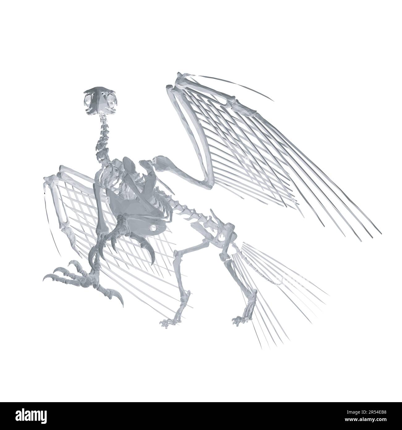 Pteronodon-Skelett-Cartoon, Vektorskelett des ausgestorbenen alten fliegenden Reptils Pteranodon. Isoliert auf weißem Hintergrund. Polygonales 3D-Modell.. Stock Vektor