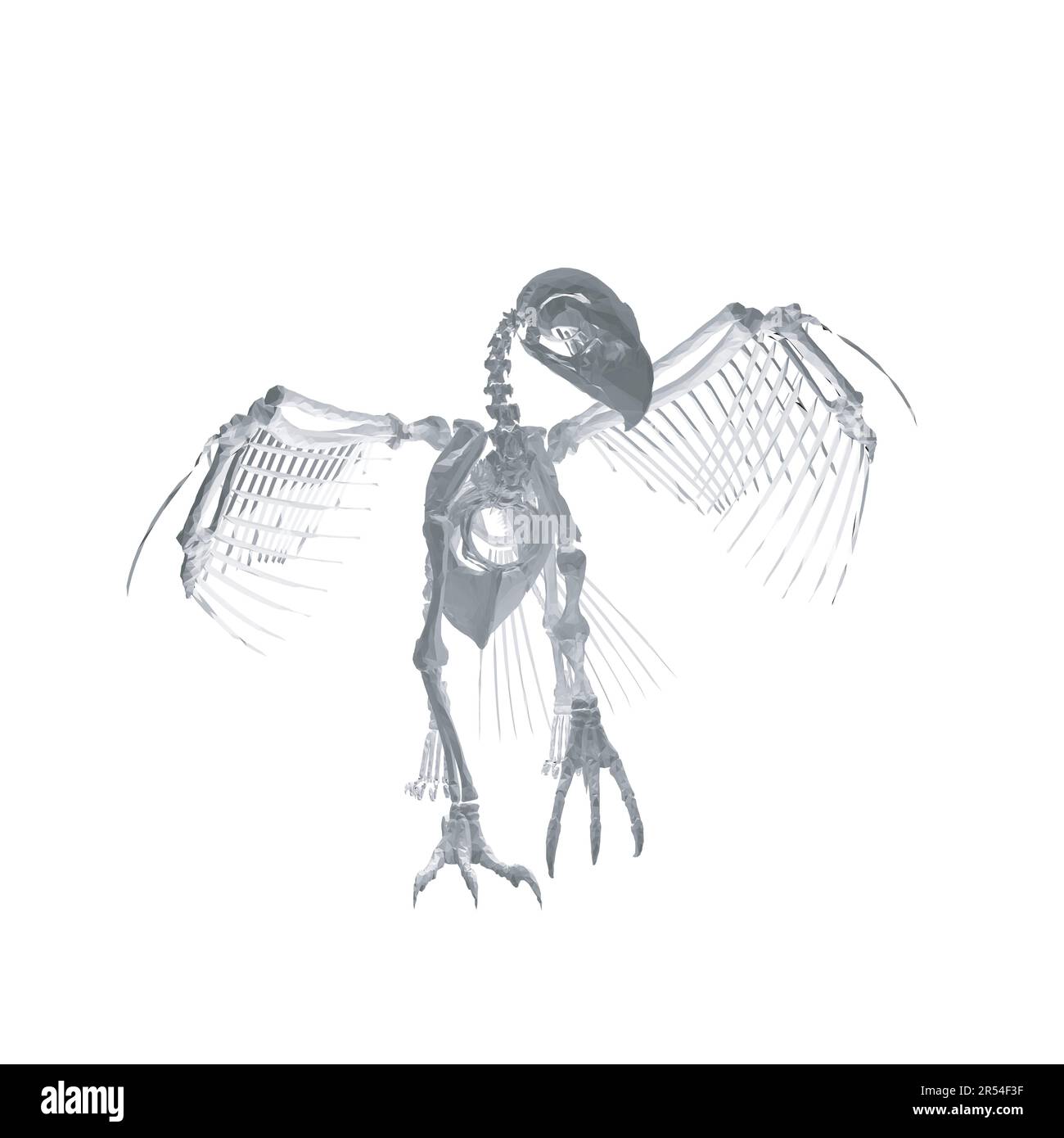 Pteronodon-Skelett-Cartoon, Vektorskelett des ausgestorbenen alten fliegenden Reptils Pteranodon. Isoliert auf weißem Hintergrund. Polygonales 3D-Modell.. Stock Vektor
