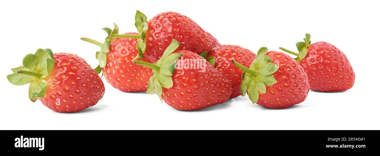 Haufen frischer Erdbeeren, leuchtend rote, beliebte saftige Früchte mit süßem Geschmack und duftendem Aroma, gesunde und sehr nahrhafte kulinarische Zutaten Stockfoto