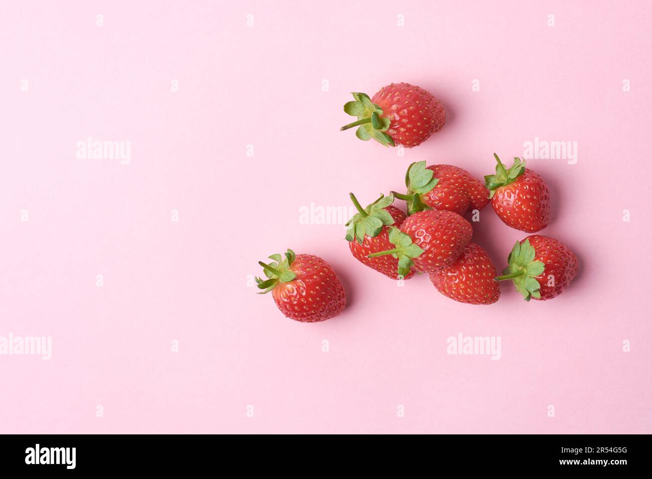 Erdbeeren auf pinkfarbenem Hintergrund, hellrote Farbe beliebte saftige Früchte mit süßem Geschmack und duftendem Aroma, gesund und sehr nahrhaft kulinarisch Stockfoto