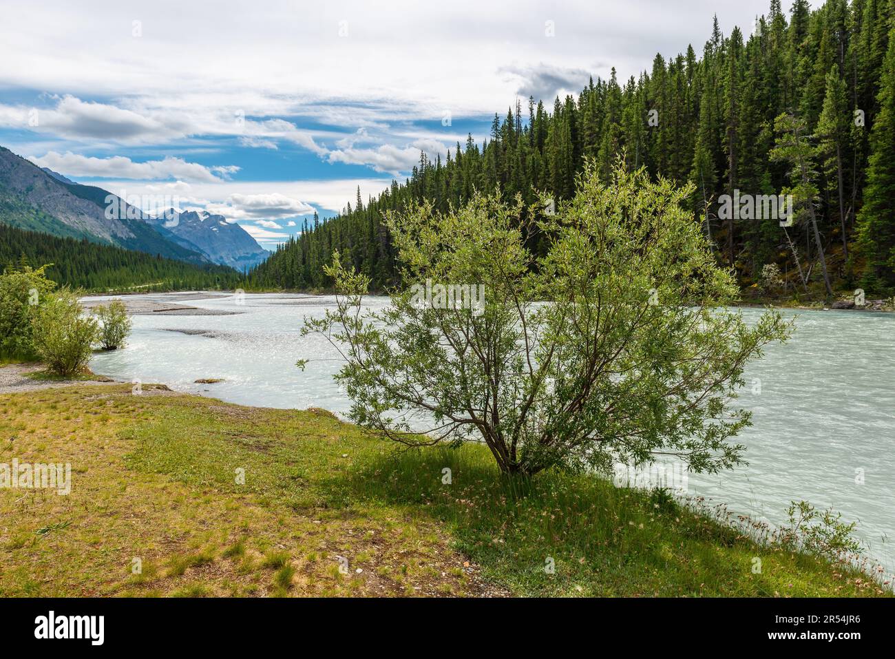 Athabasca River, Banff National Park, Alberta, Kanada. Stockfoto