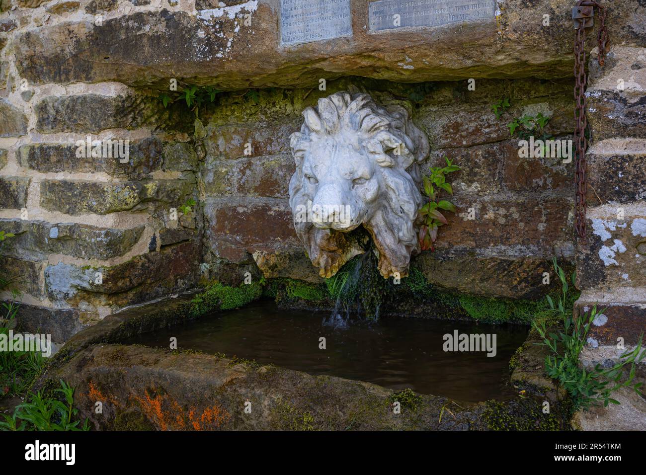 Alte Steinart am Straßenrand mit Löwenkopf und natürlichem Quellwasser North Yorkshire, Großbritannien Stockfoto