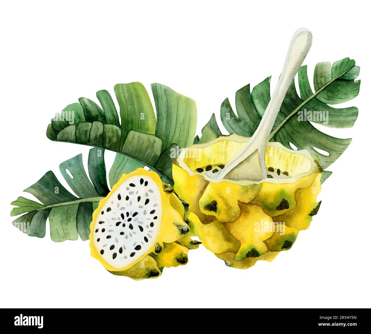 Gelbe Drachenfrucht Dessert mit Löffel und grüne Palme Blätter Aquarell Illustration. Realistische botanische Klippe Stockfoto