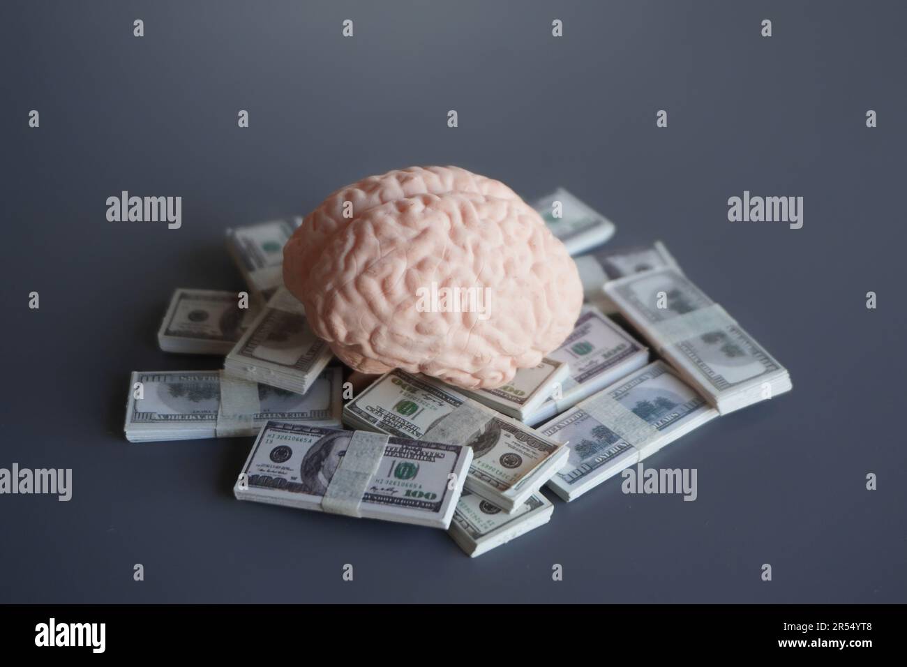 Nahaufnahme von Gehirn und Geld. Unternehmerische Denkweise, Investition von Geld in das Bildungskonzept Stockfoto