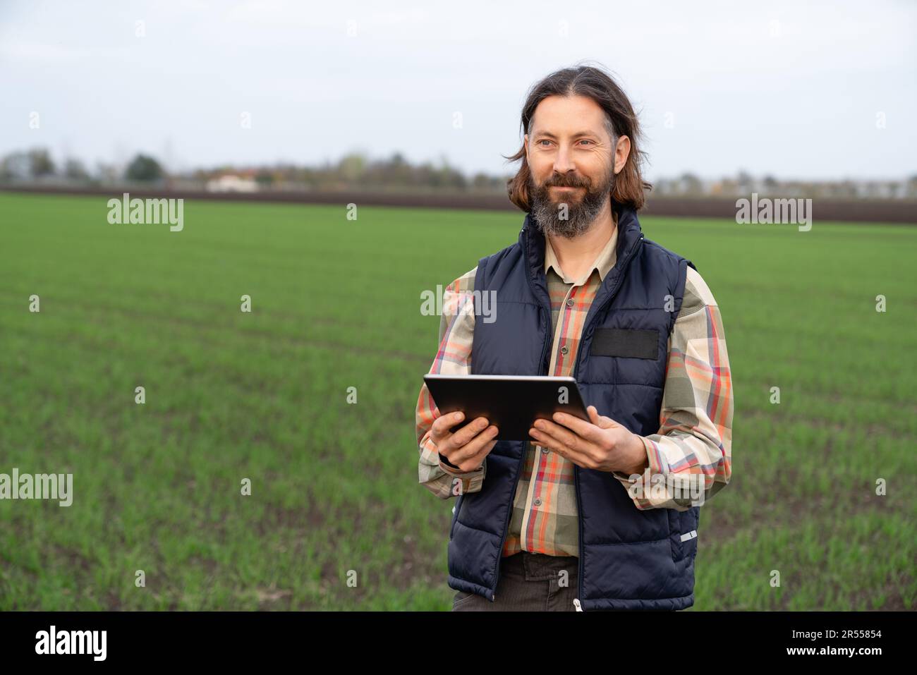 Landwirt mit Digitaltablette auf Jungweizenfeldern. Intelligente Landwirtschaft und digitale Landwirtschaft. Hochwertiges Foto Stockfoto