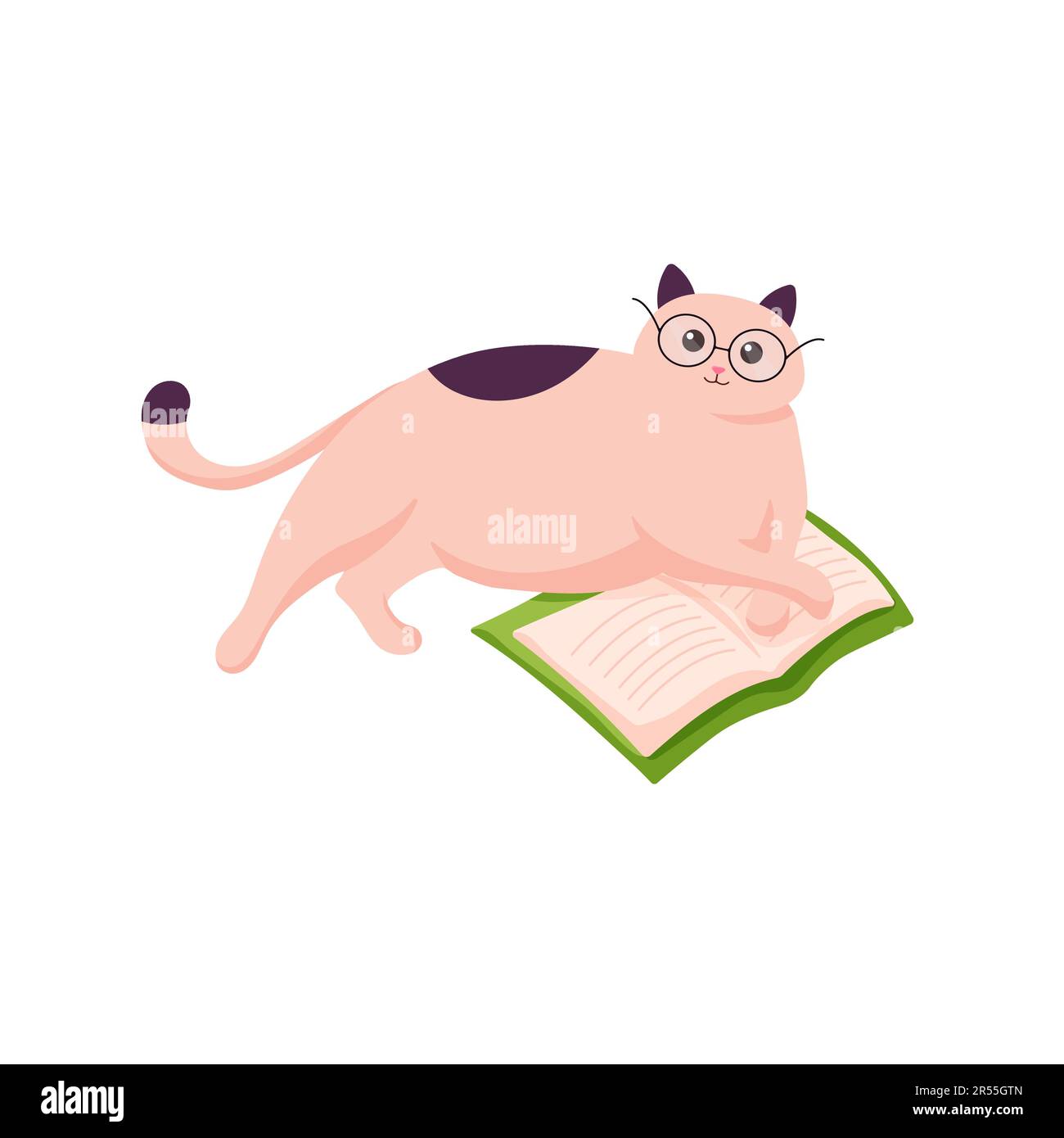 Katze in Brille, die mit offenem Buch liegt. Abbildung eines Katzenlesebuchs. Gemütliches Konzept. Zu Hause lernen und entspannen. Stock Vektor