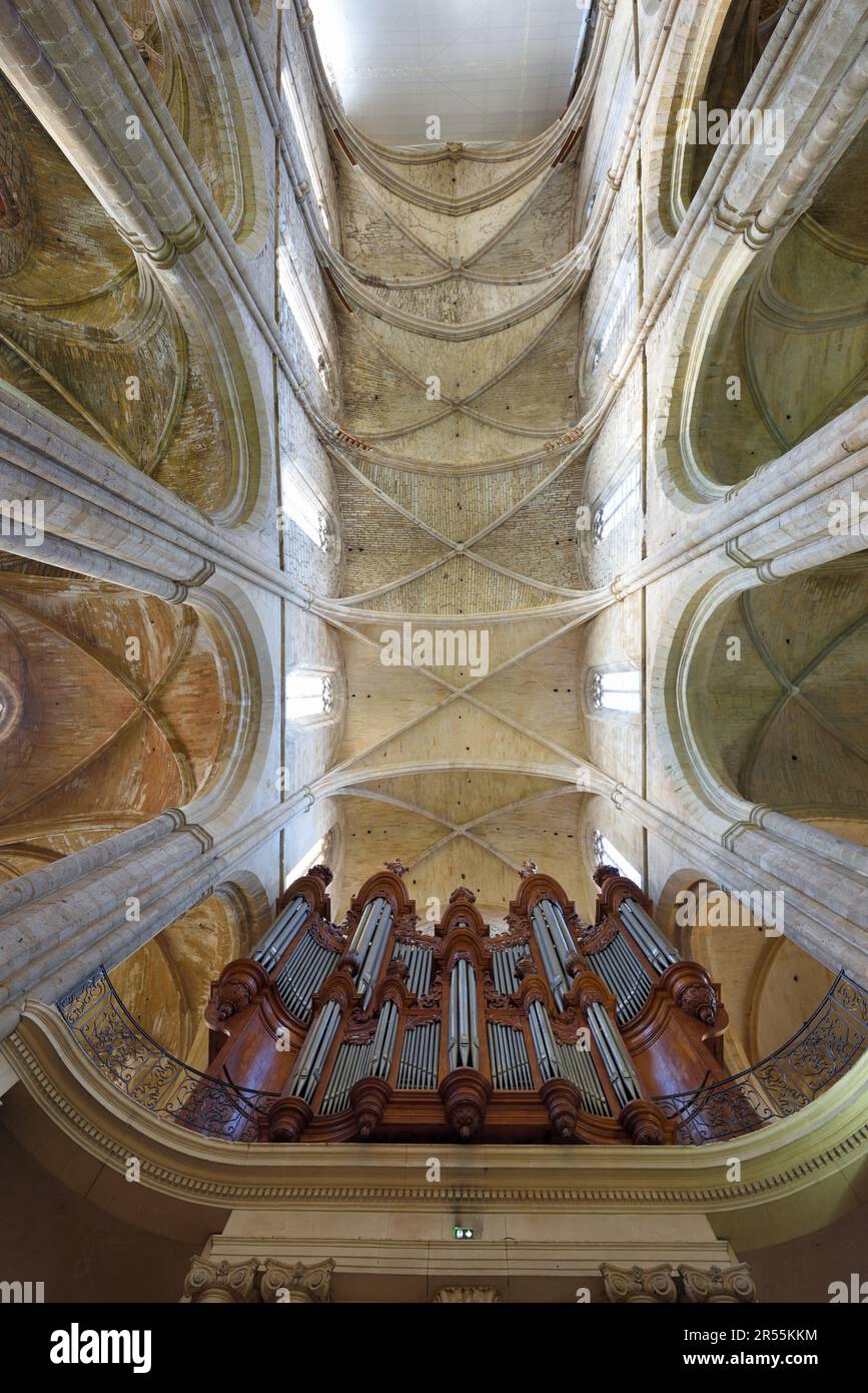 Rippendecke und Isnard-Orgel (1772-74) in der Basilka von Maria Magdalena (C13-16.) oder Kirche in Saint-Maximin-la-Sainte-Baume Maximin Provence Frankreich Stockfoto