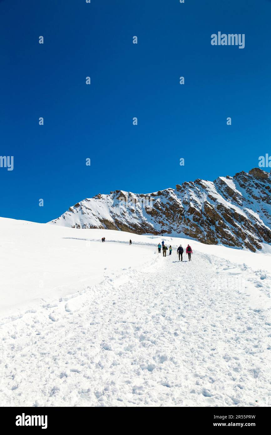 Blick auf die schneebedeckten Gipfel entlang des Wanderwegs vom Jungfrau Gipfel bis zum Mönchsjoch Hut, Trugberg Berg, Schweizer Alpen, Schweiz Stockfoto
