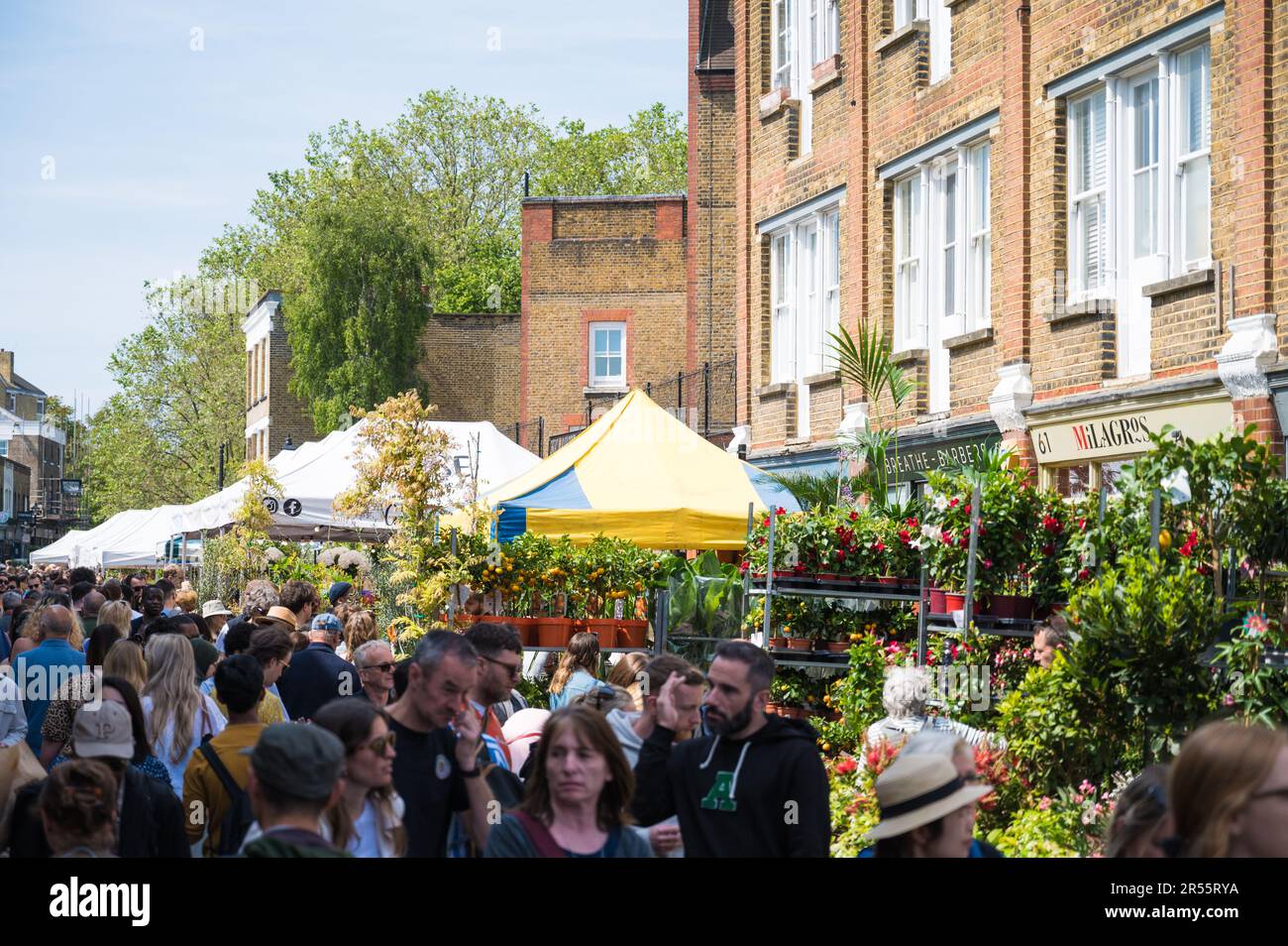 Die Leute drängen den Columbia Road Flower Market, um Pflanzen und Blumen an einem frühen Sommersonntag zu kaufen. Columbia Road, London, England, Großbritannien Stockfoto