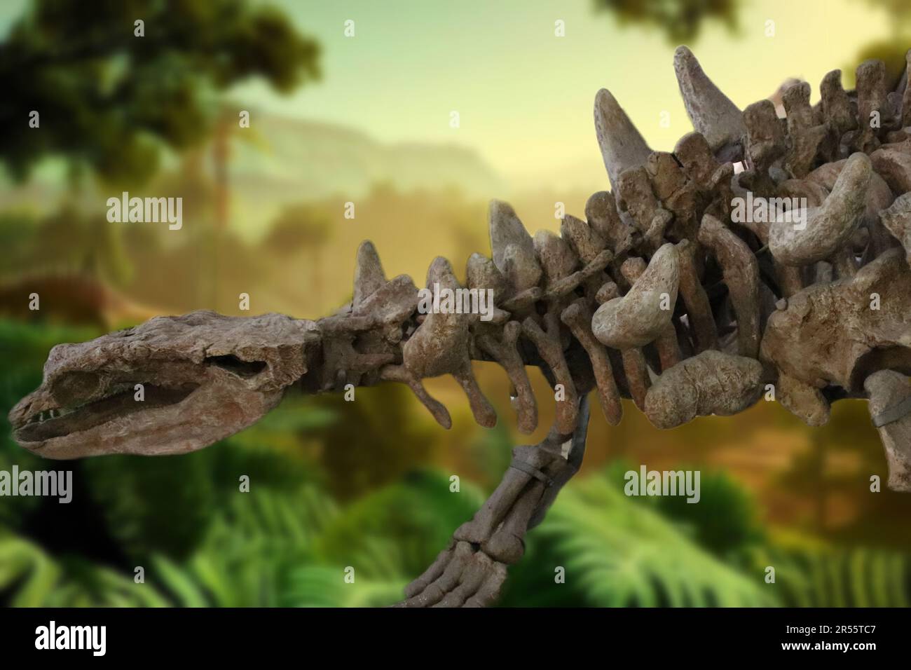 Ankylosaurus war ein pflanzenfressender, gepanzerter Dinosaurier, der vor 70-66 Millionen Jahren in Nordamerika lebte. Stockfoto