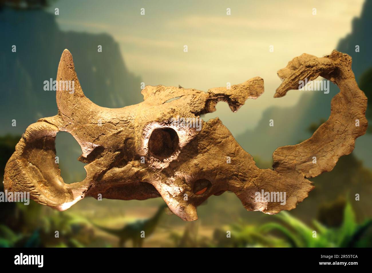 Centrosaurus (spitzer Eidechse) ist eine Gattung pflanzenfressender zeratopsischer Dinosaurier aus der späten Kreidezeit Kanadas. Stockfoto