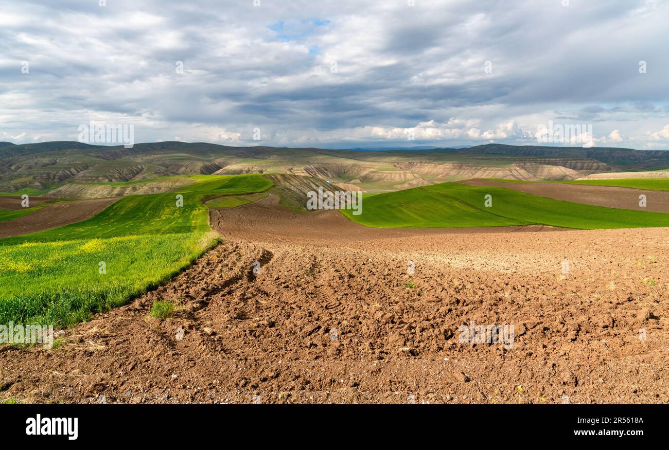 Landwirtschaft auf erodierten Böden, grünen Kulturpflanzen und brachliegenden Flächen in der Zentraltürkei. Stockfoto