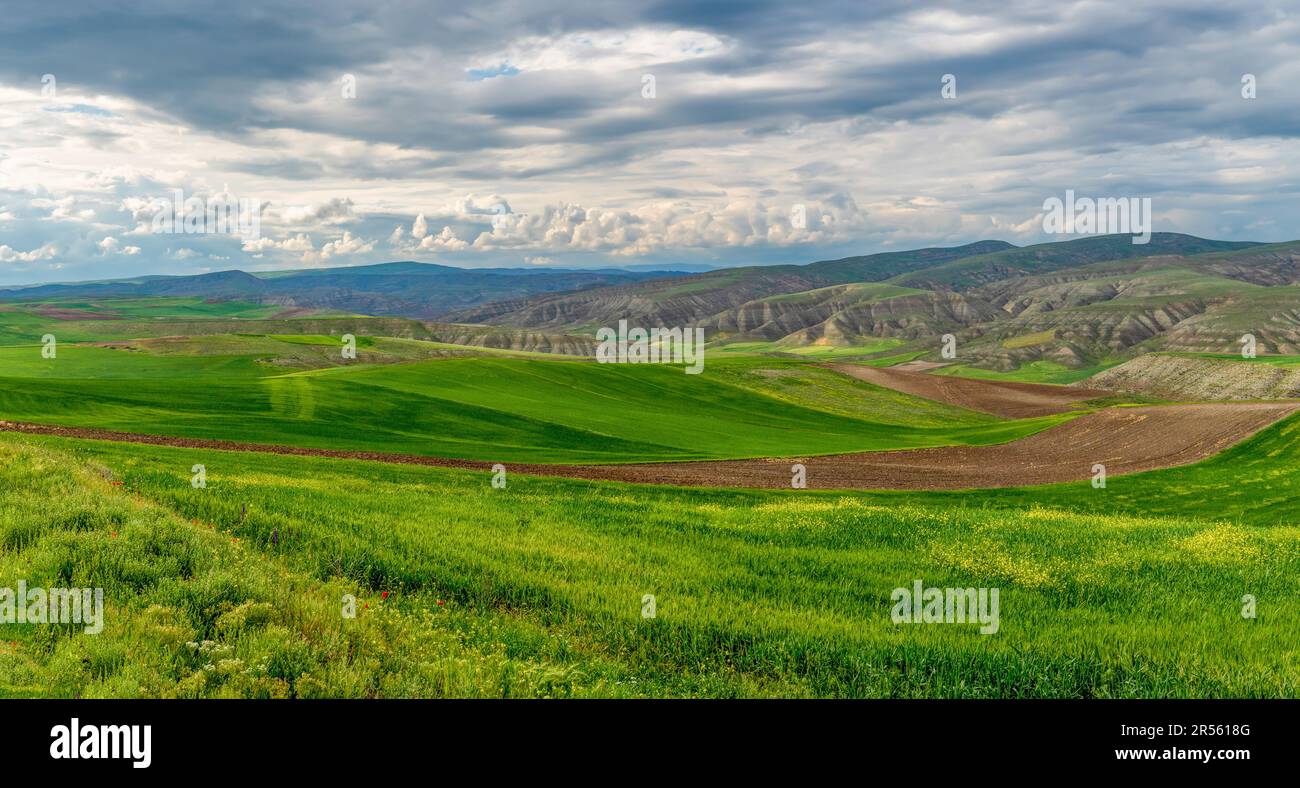 Landwirtschaft auf erodierten Böden, grünen Kulturpflanzen und brachliegenden Flächen in der Zentraltürkei. Stockfoto