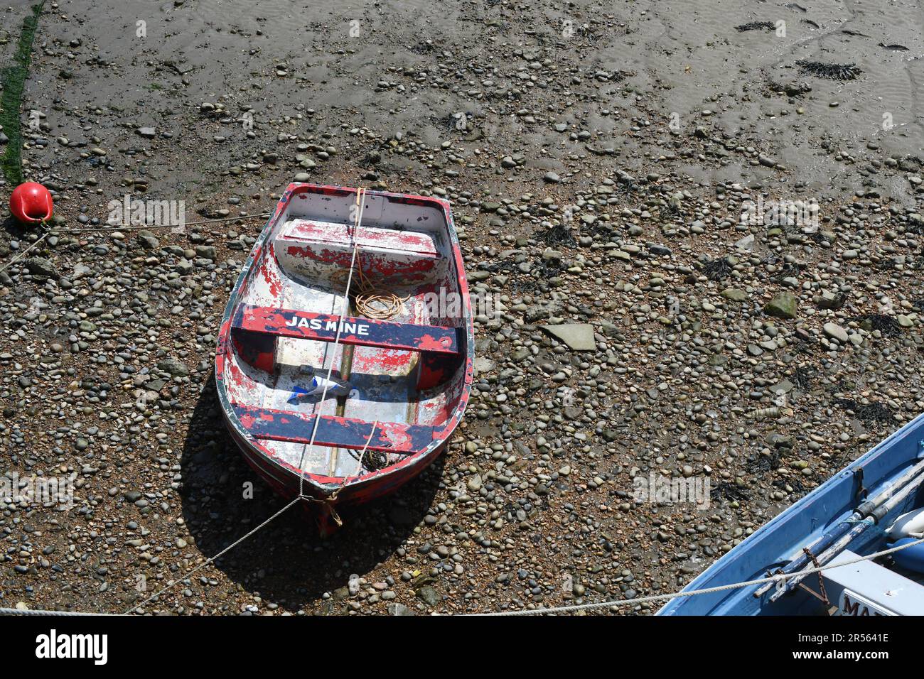 Jasmin Ruderboot Stockfoto