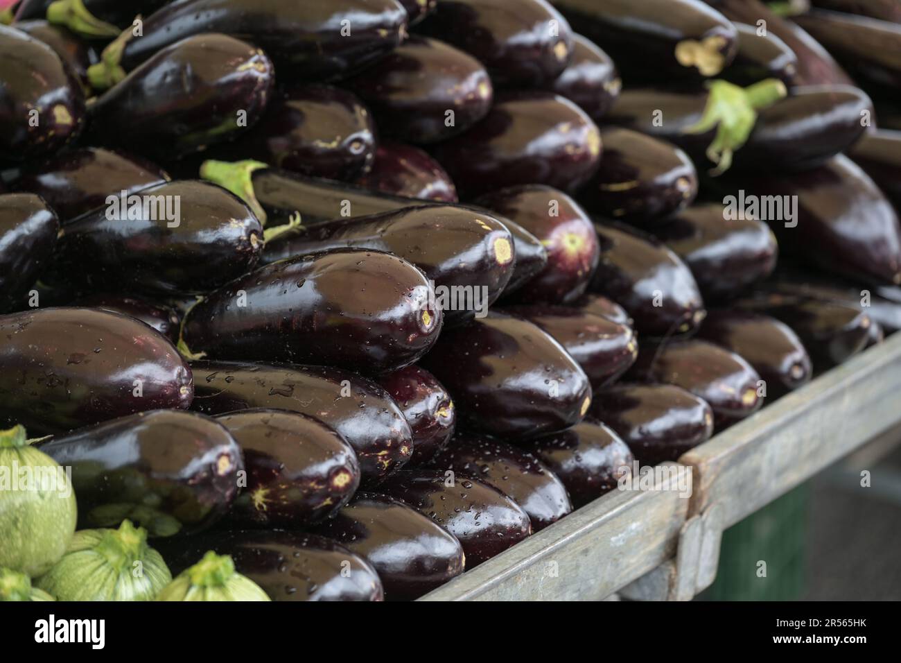 Frische und glänzende Auberginen, die sich auf einem Marktstand stapeln, pflanzliche Zutaten für mediterrane Gerichte, ausgewählter Fokus, schmale Feldtiefe Stockfoto