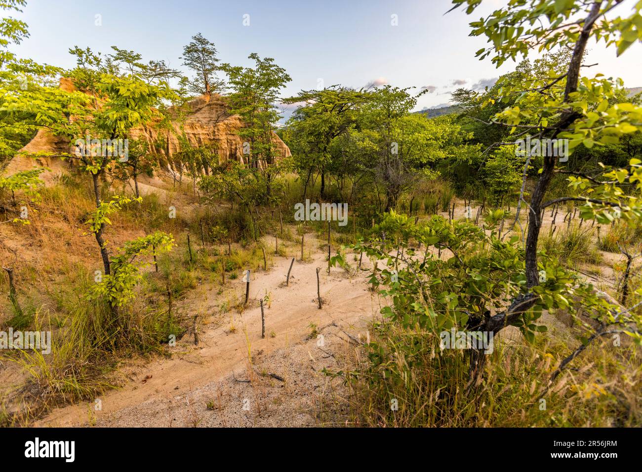 Die Malape-Hügel wurden von der Natur geformt. Der Legende nach waren die Säulen von Geistern bewohnt. Wenn du dich konzentrierst, solltest du sogar Stimmen hören können. Lilomba, Malawi Stockfoto