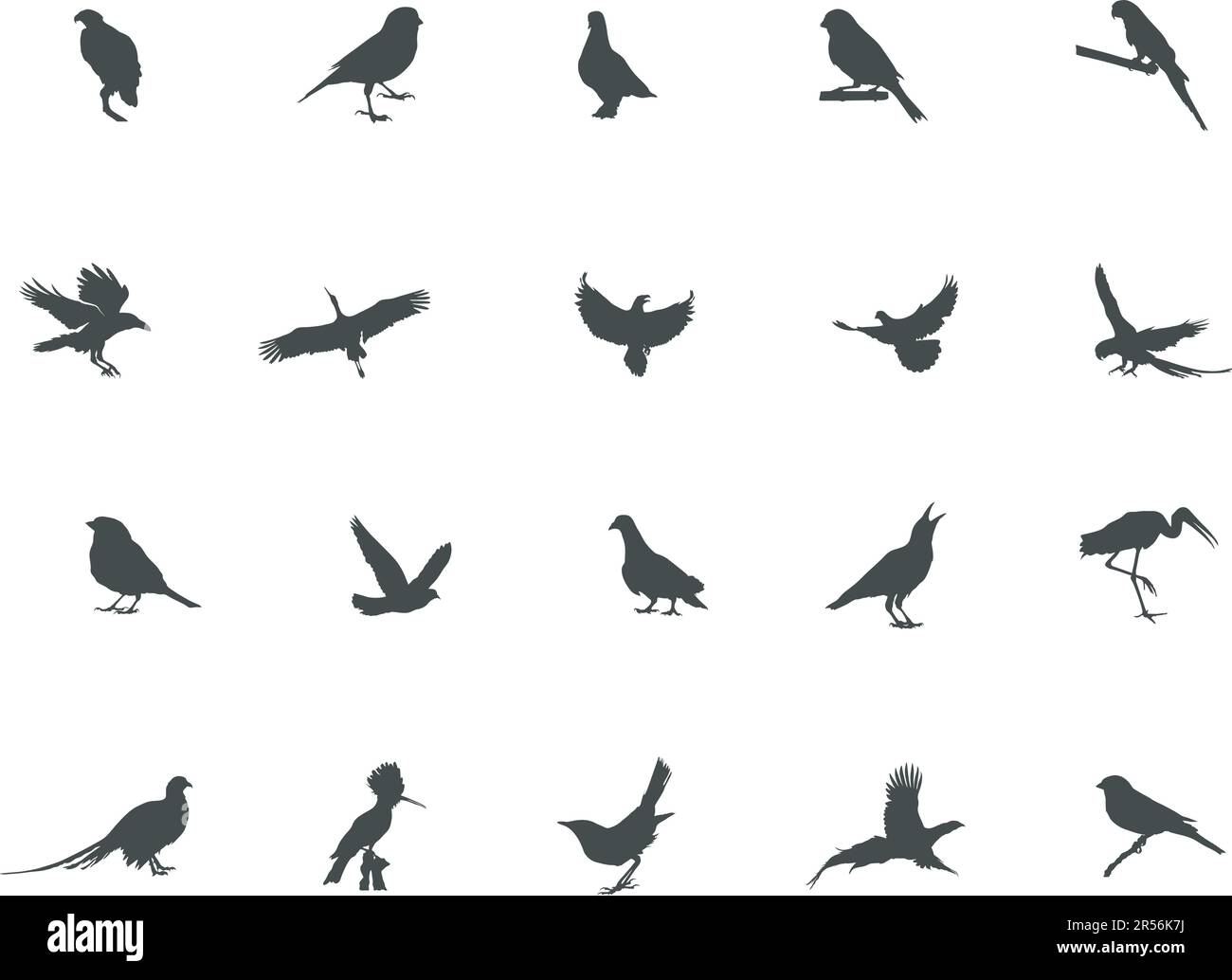 Vogelsilhouette, „Flying Bird“-Silhouette, „Bird Clipart“, „Birds SVG“, Vektorsatz, Vektorelemente Stock Vektor