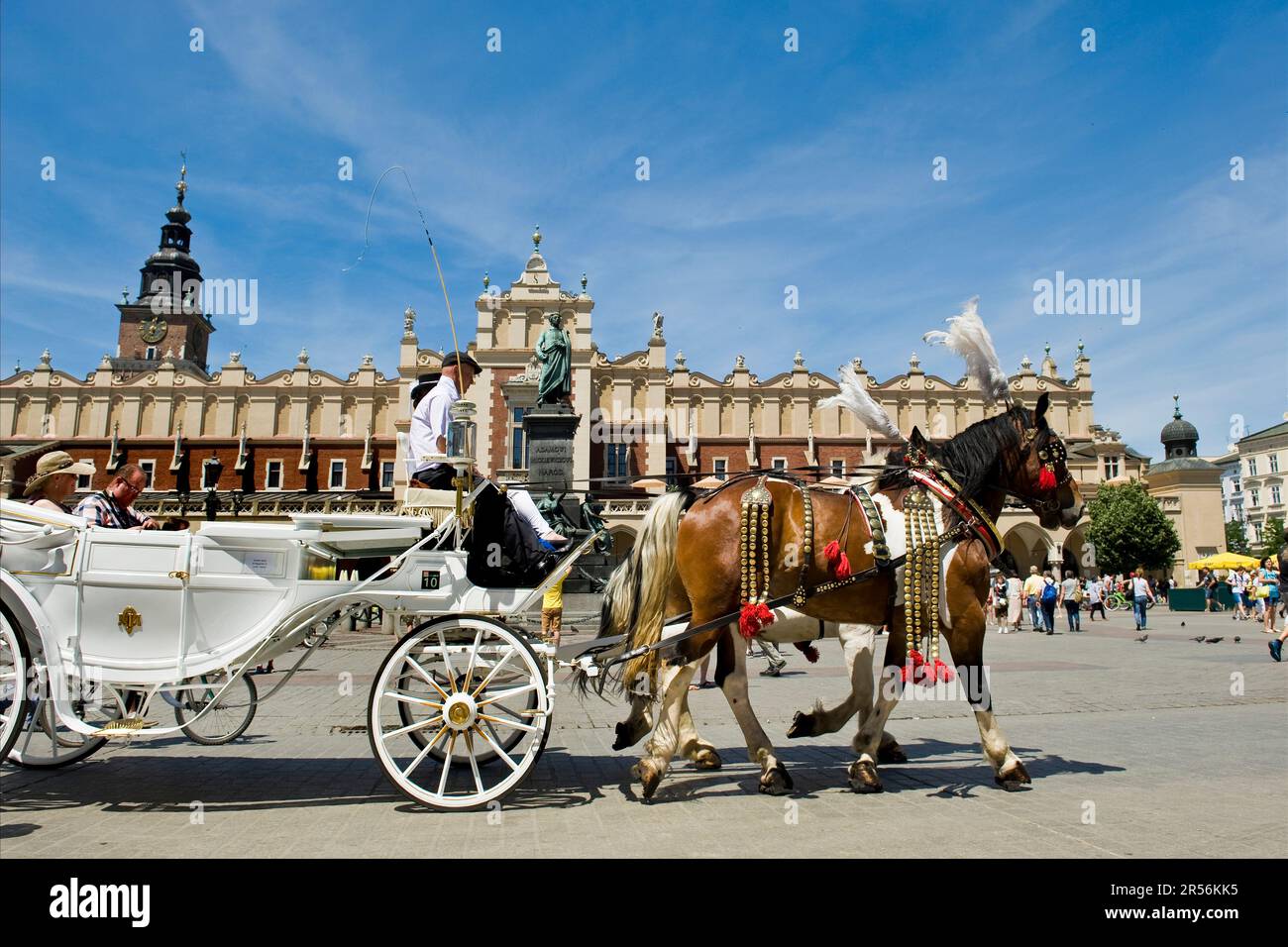 Krakau. rynek glwny. Pferd und Kutsche Stockfoto